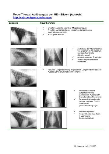 Modul Thorax | AuflÃ¶sung zu den UE â Bildern (Auswahl) http://vet ...