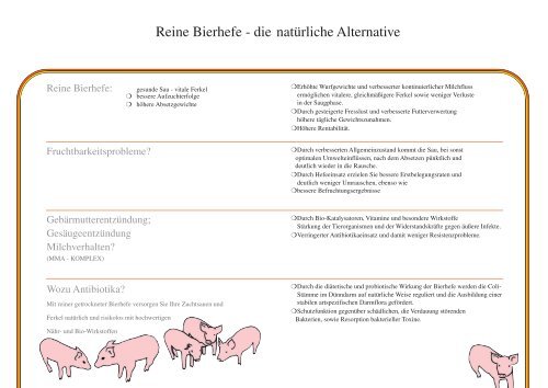 Reine Bierhefe Schweine (Page 6) - Tremonis