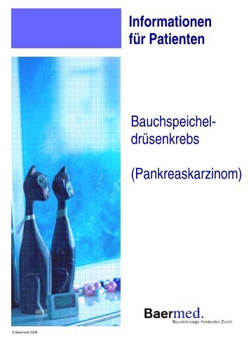 Bauchspeicheldrüsenkrebs Informationen für Patienten