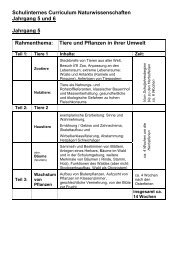 Schulinternes Curriculum Naturwissenschaften 5-6.pdf