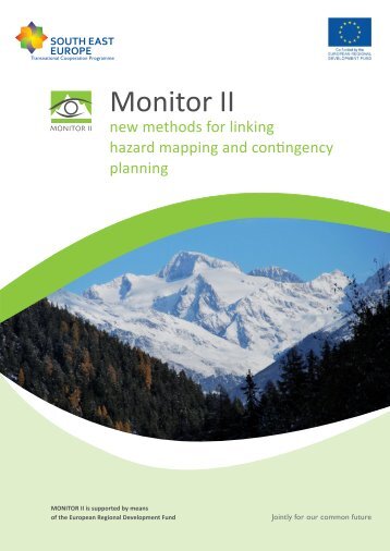 risk management - monitor ii
