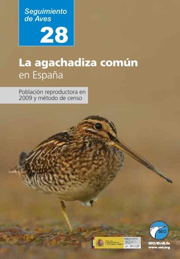 La agachadiza comÃºn en EspaÃ±a - SEO/BirdLife