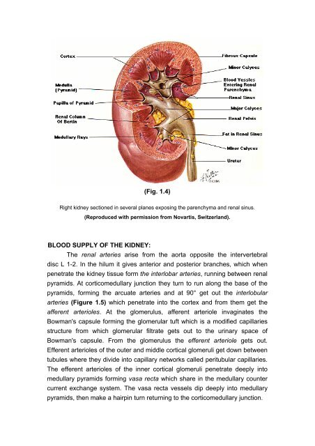 Essentials of Clinical Nephrology (Shorouk Press, Cairo, 2000, ISBN ...