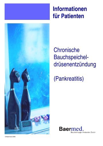 Patienteninformation Chronische Bauchspeicheldrüsenentzündung