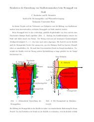 Bericht im PDF-Format - ZID - Technische UniversitÃƒÂ¤t Wien