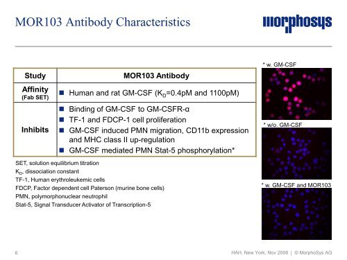 Study Design Streptococcal Cell Wall Induced Arthritis - MorphoSys