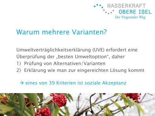 Variantenstudie - Virgentaler Weg