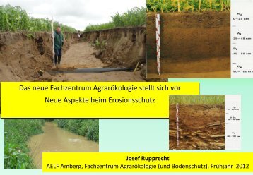 Aspekte beim Erosionsschutz - Amt für Ernährung, Landwirtschaft ...