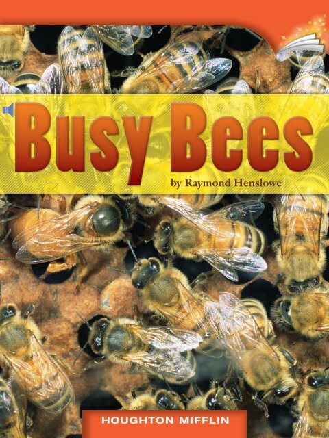 Lesson 6:Busy Bees