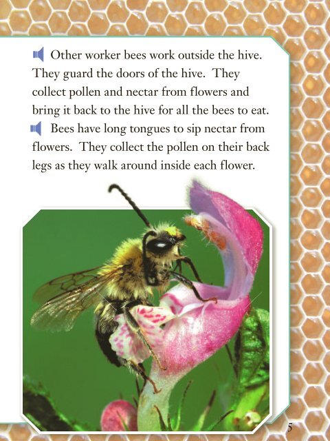 Lesson 6:Busy Bees