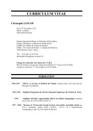 CURRICULUM VITAE - Institut des Sciences Chimiques de Rennes ...