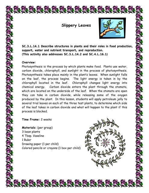 SC.3.L.14.1 Slippery Leaves - Science
