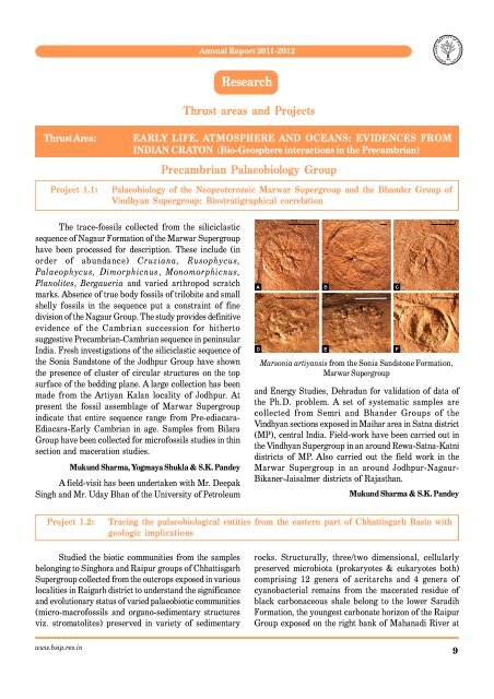 Annual Report 2011-2012 - Birbal Sahni Institute of Palaeobotany