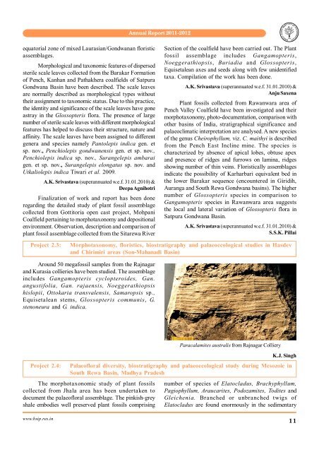 Annual Report 2011-2012 - Birbal Sahni Institute of Palaeobotany