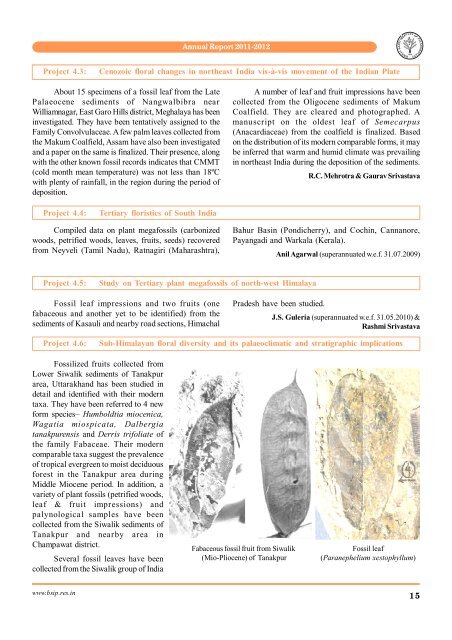 Annual Report 2011-2012 - Birbal Sahni Institute of Palaeobotany