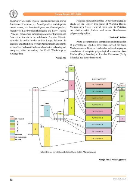 Annual Report 2011-2012 - Birbal Sahni Institute of Palaeobotany