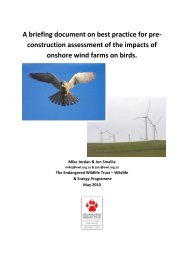 A briefing document on best practice for pre- construction ...