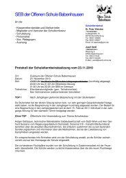 Protokoll-SEB-Sitzung 2010-11-23 - Offene Schule Babenhausen