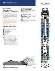 ms Nieuw Amsterdam - Ask Mr. Cruise