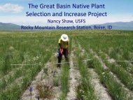 The Great Basin Native Plant Selection and Increase Project