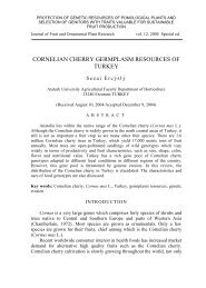 Cornelian cherry germplasm resources of Turkey