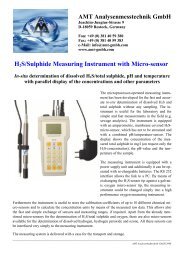 H 2 S Measuring Instrument - AMT Analysenmesstechnik GmbH
