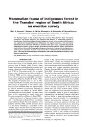 Mammalian fauna of indigenous forest in the Transkei region of ...