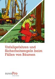 Unfallgefahren und Sicherheitsregeln beim FÃ¤llen von BÃ¤umen