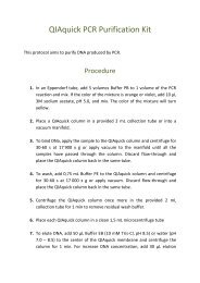 QIAquick PCR Purification Kit - iGEM 2012