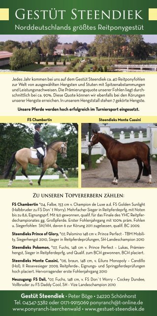 reitponyhengste - Ponyforum