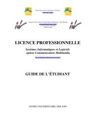 licence professionnelle - IUT Bayonne - UniversitÃ© de Pau et des ...