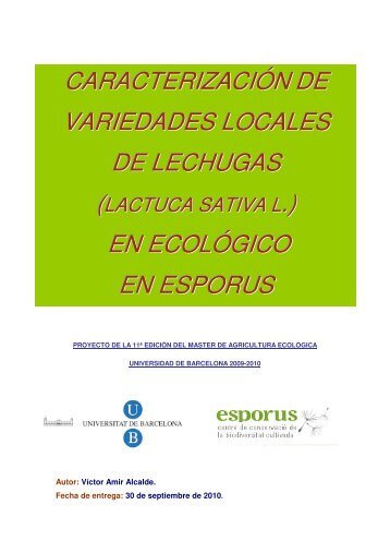 caracterización de variedades locales de lechugas .) en ... - Esporus