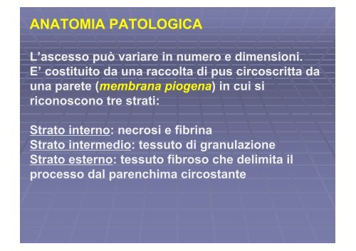 Ascesso epatico echinococco trauma