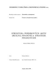 struktura podnikových aktiv (reálná, finanční) a strategie financování