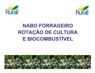 NABO FORRAGEIRO ROTAÃÃO DE CULTURA E ... - Udop