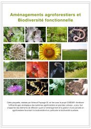 Aménagements agroforestiers et Biodiversité fonctionnelle - AFAF ...