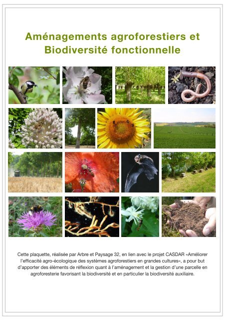 Aménagements agroforestiers et Biodiversité fonctionnelle - AFAF ...