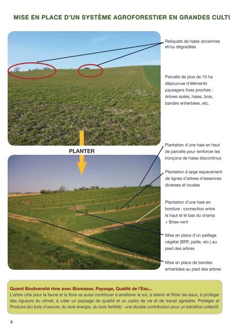 Aménagements agroforestiers et Biodiversité fonctionnelle - AFAF ...