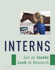 Interns Get an Inside Look at Research - Kentucky Equine Research