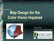 Map Design for the Color Vision Impaired