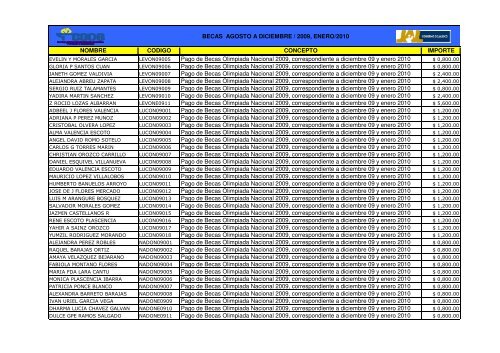 Becas Agosto a Diciembre 2009, Enero 2010