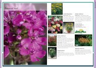 S&G Flowers Catalogue 2006-2007 - Agro Pataki