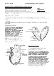 DISECCIÃN DE UN INVERTEBRADO MOLUSCO: EL MEJILLÃN