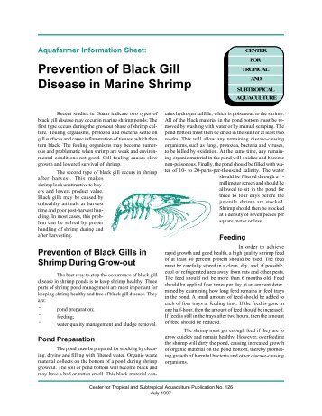 Prevention of Black Gill Disease in Marine Shrimp - CTSA