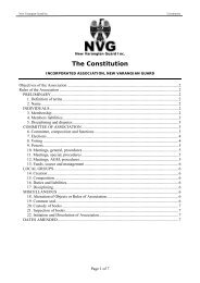 The Constitution - NVG Inc