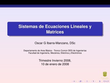 Sistemas de Ecuaciones Lineales y Matrices