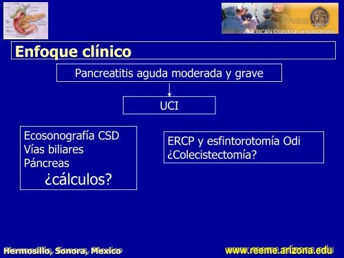 pancreatitis aguda pancreatitis aguda - Reeme.arizona.edu