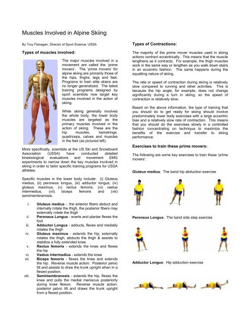 Muscles Involved in Alpine Skiing - USSA