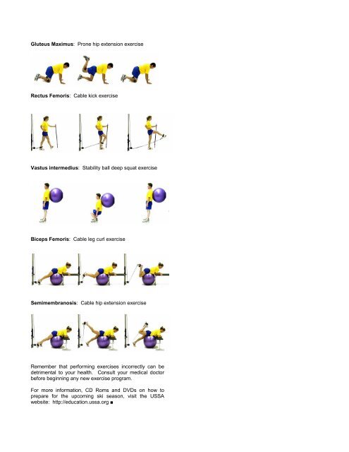 Muscles Involved in Alpine Skiing - USSA