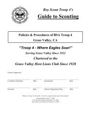 Troop 4's Guide to Scouting - Second Revision - Foothill.net